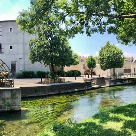 Appartamento Quai du Félibre LʼIsle-sur-la-Sorgue Esterno foto